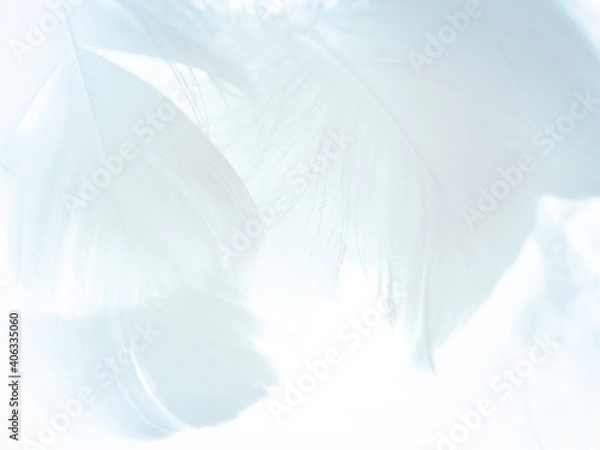 Fototapeta Beautiful abstract black feathers on white background and soft white feather texture on white pattern, dark theme wallpaper, gray feather background, black banners