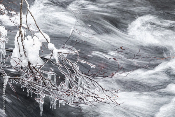 Obraz 氷の樹の枝