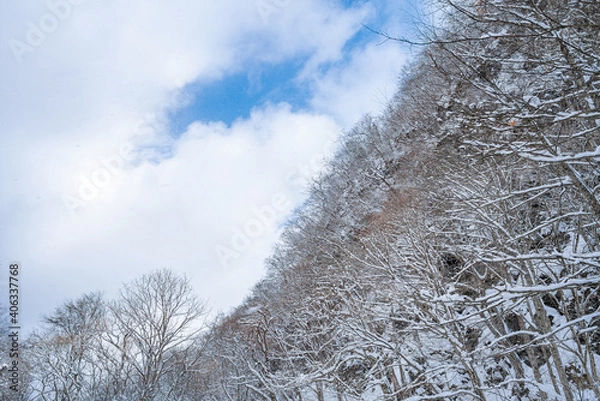 Obraz 冬の山の稜線