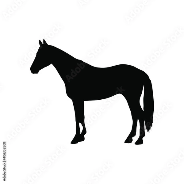 Obraz Horse collection - vector silhouette