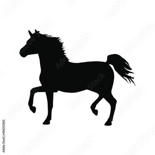 Obraz Horse collection - vector silhouette