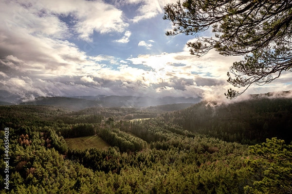 Obraz Wandern im Pfälzer Wald