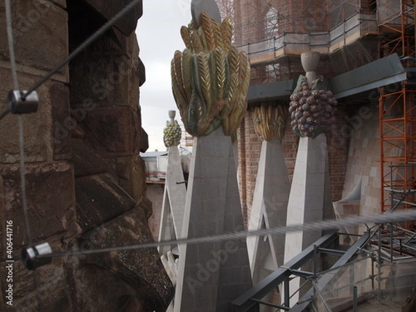 Fototapeta OLYMPUS DIGITAL CAMERA