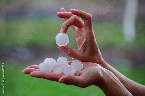 Obraz Large hailstones on women's palms in spring