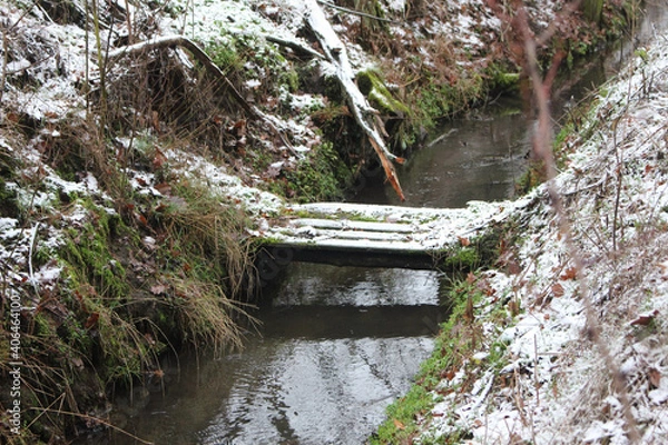 Obraz Winterlandschaft