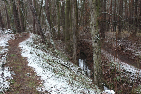Obraz Winterlandschaft