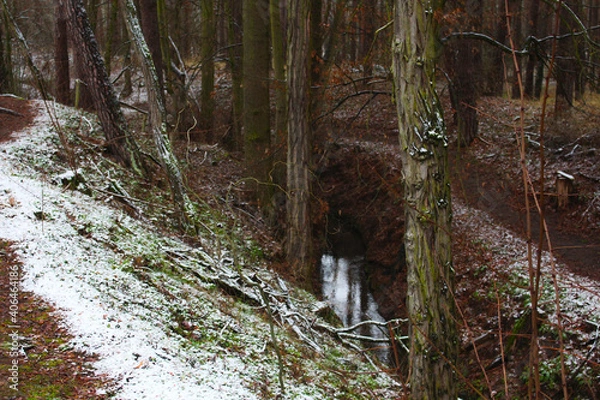Obraz Winterlandschaft