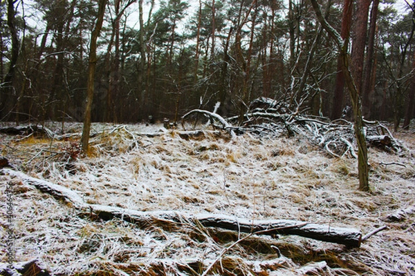 Obraz Winterlandschaft