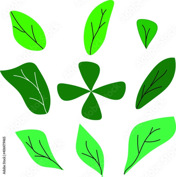 Fototapeta green leaves set