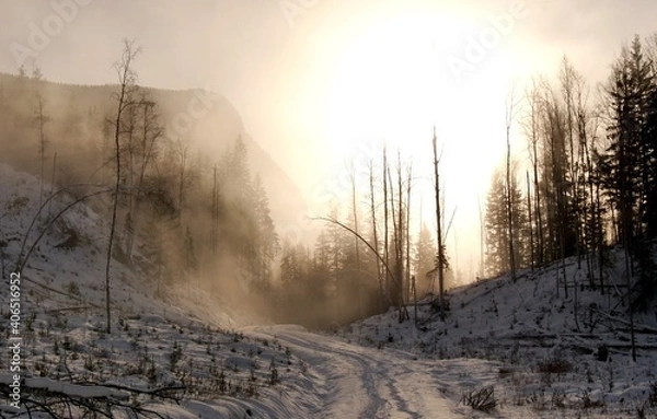 Obraz Snowy Back-road 