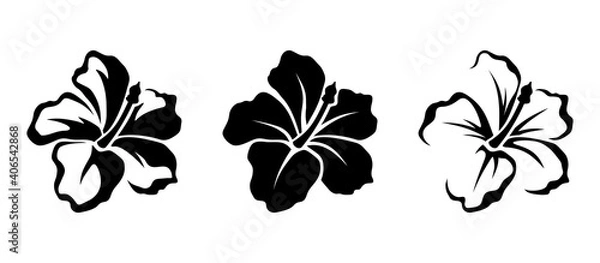 Fototapeta Vector set of black silhouettes of tropical hibiscus flowers isolated on a white background.