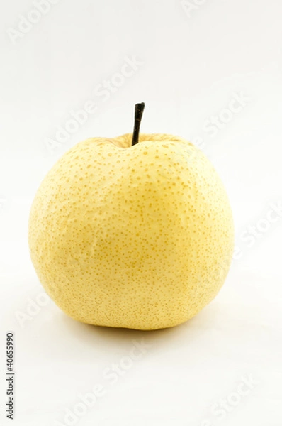 Fototapeta Pyrus pyriflora L Fruit