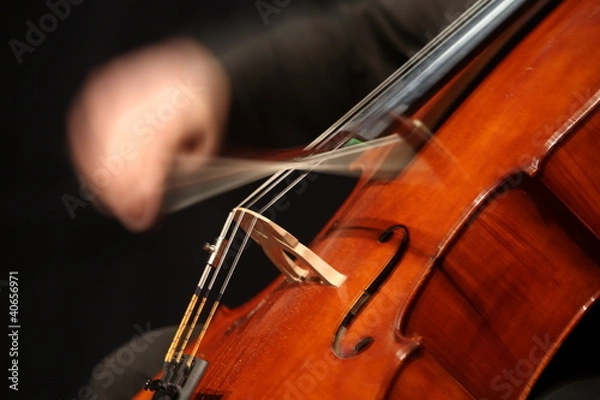 Obraz violoncelliste