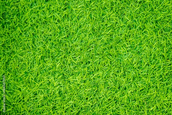Obraz Green artificial grass natural