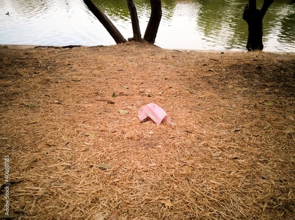 Obraz mask thrown in park by the lake