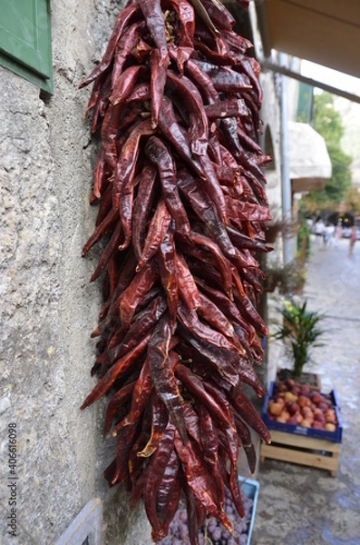 Obraz Papryczka chili