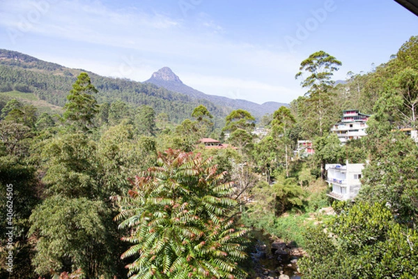 Fototapeta Mountain peak among thickets of forest in the jungle in Sri Lanka.