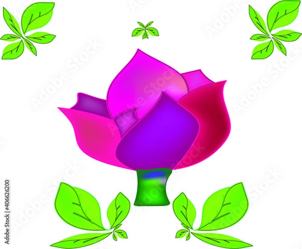 Fototapeta green rose with leaves