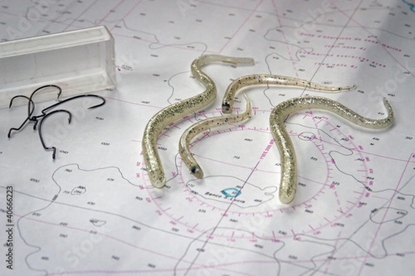 Fototapeta Artificiali da pesca