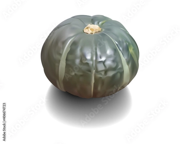 Obraz 南瓜(かぼちゃ)イラスト/透明背景だからどんな背景にもマッチする!イラレブック