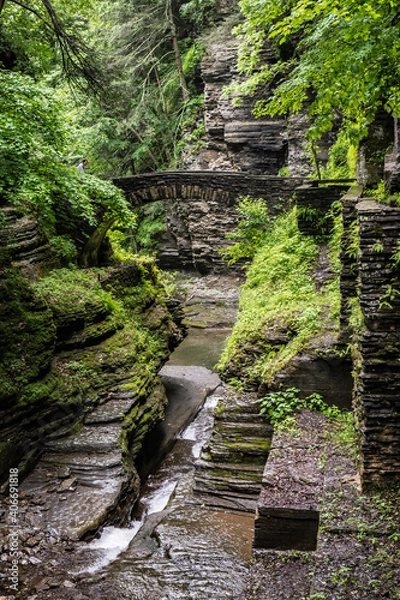 Obraz waterfall in the forest
