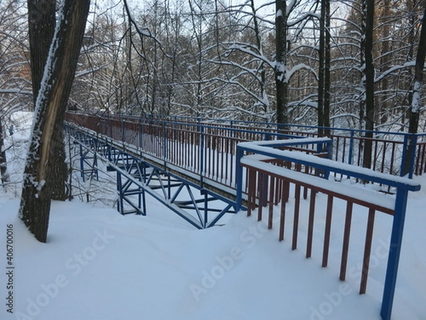 Fototapeta Winter park, snow, pine trees.