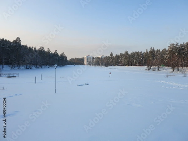 Fototapeta Winter park, snow, pine trees.