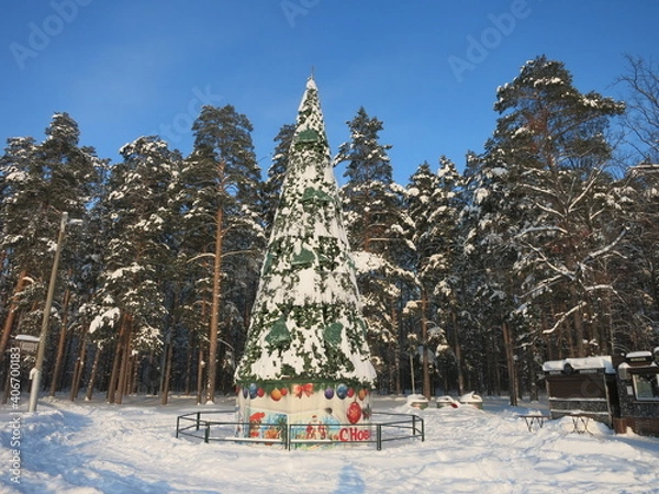 Fototapeta Winter park, snow, pine trees.