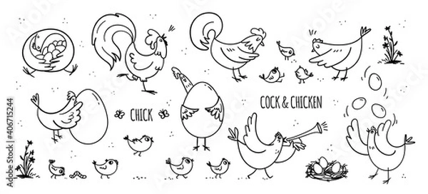 Obraz A set of hand-drawn hens and roosters with their little chickens. A collection of funny domestic birds living their own life on the farm. Vector stock illustrations in doodle style isolated on white.