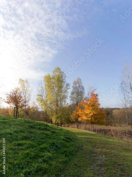 Obraz Trees in different autumn colors