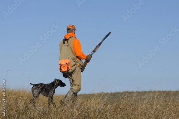 Fototapeta Out Pheasant Hunting