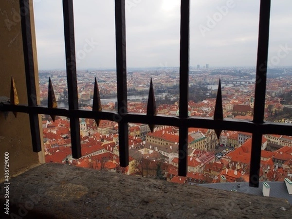 Fototapeta OLYMPUS DIGITAL CAMERA