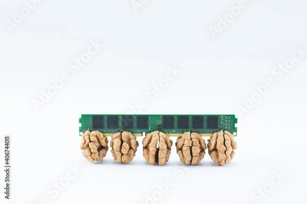 Fototapeta RAM board inserted into walnut kernels on gray background