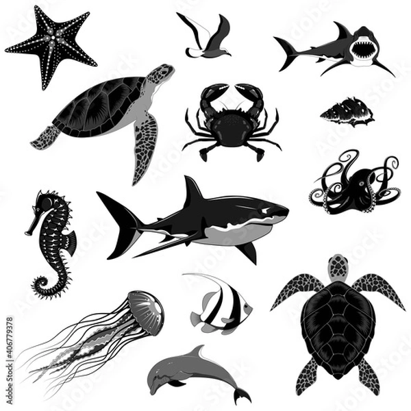 Obraz Set of sea animals. Vector monochrome image of sharks, turtles, dolphin, crab, seahorse, octopus, sea star, fish, jellyfish