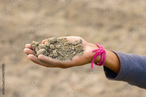 Fototapeta An Indian farmer is holding soil by his hand for checking it.