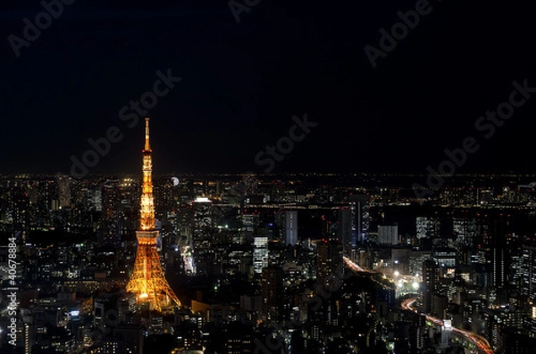 Obraz 夜の東京タワー