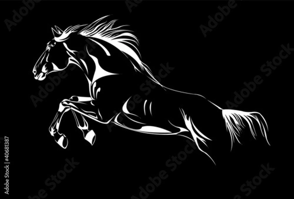 Obraz horse jumping on black vector