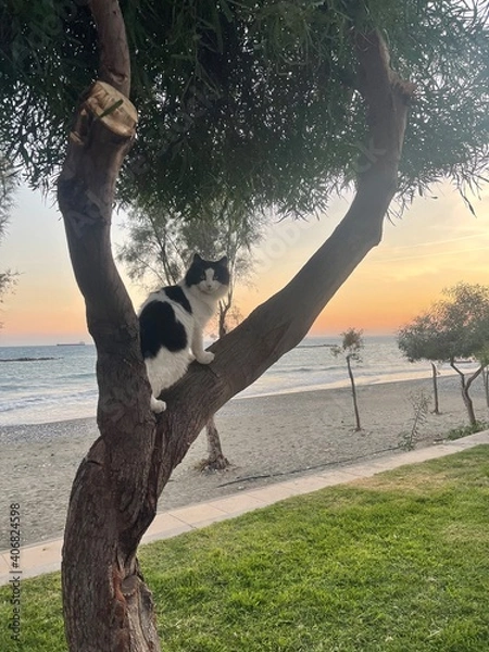 Obraz person relaxing on a tree