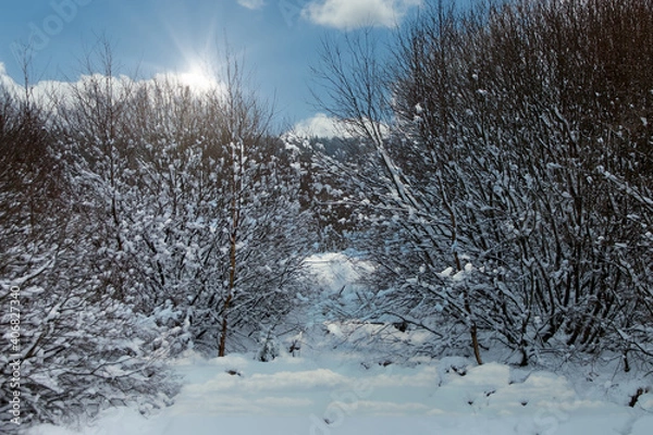 Obraz Winterlandschaft