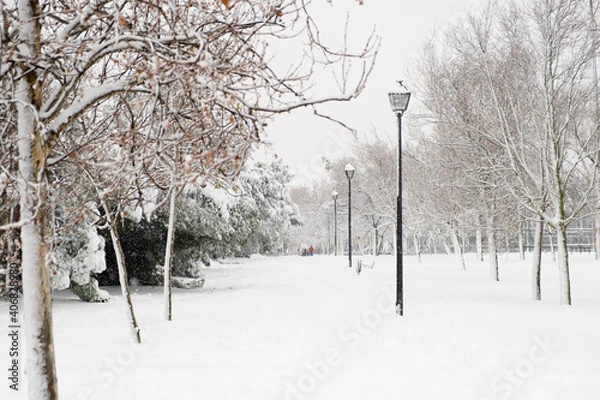 Fototapeta Parque nevado