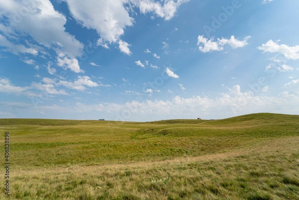 Obraz Prairie du Cézallier