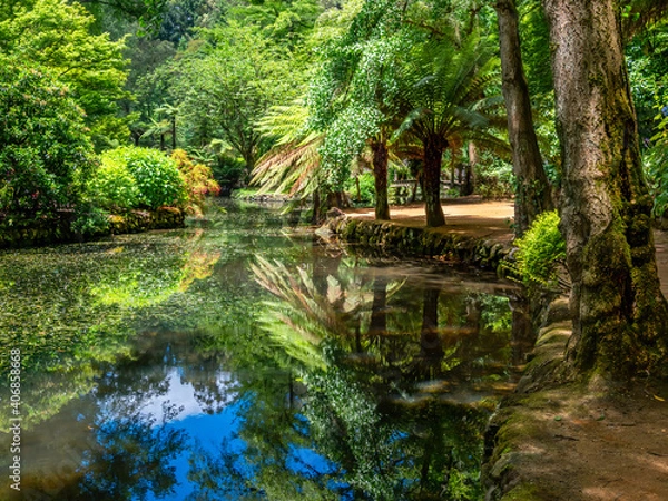 Obraz Sunny Lake Aspect