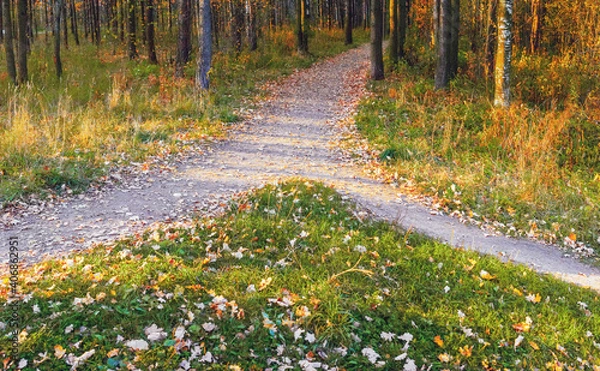 Obraz Two paths merged into one in the autumn park in the rays of the setting sun