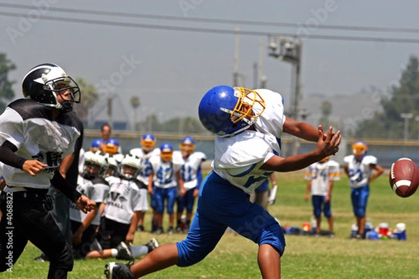 Obraz Missing the Football