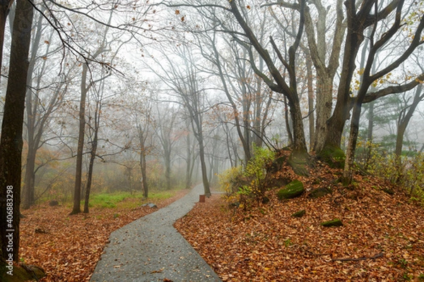 Obraz The beautiful autumn landcsape of Jinlong Mountain of Harbin, China.