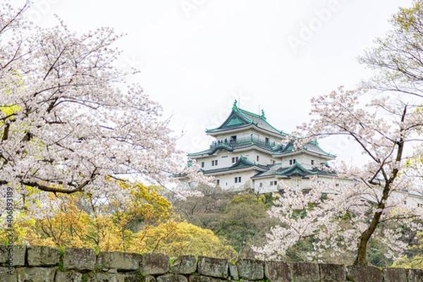 Obraz 桜に囲まれた和歌山城