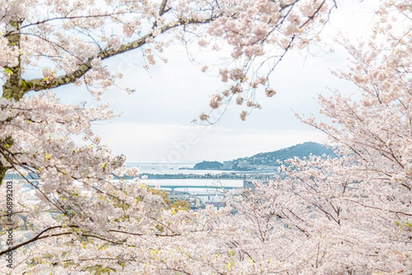 Fototapeta 紀三井寺から見た景色と海