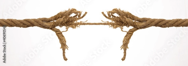 Obraz Lina z pęknięciem