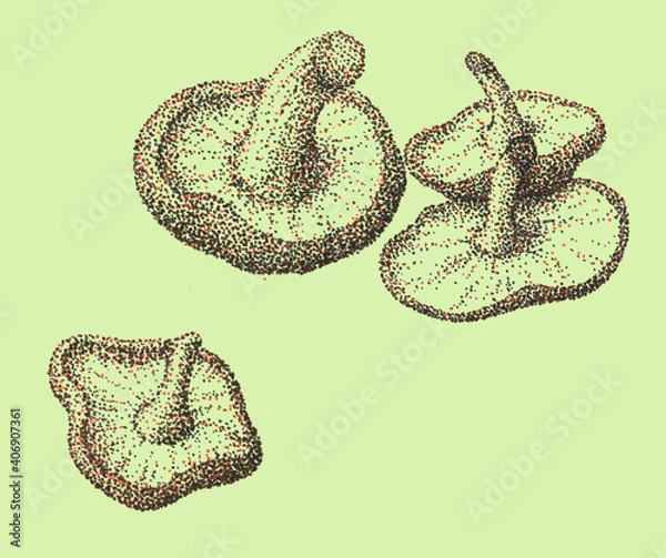 Fototapeta 食べ物の点描画（椎茸）