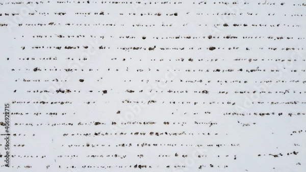 Obraz Aerial top view of a corn field covered by snow, creating horizontal line patterns in Kanata, ottawa. Ottawa, Ontario, Canada